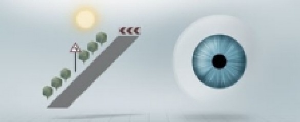 zeiss.drivesafe lenses luminance1